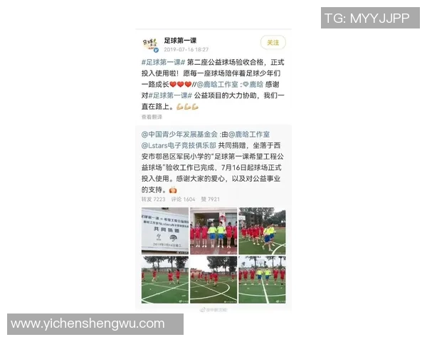 中韩慈善足球赛鹿晗领衔明星阵容助力公益事业传递爱心与希望