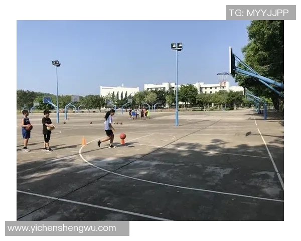 体考篮球运球技巧与注意事项全面解析助你轻松通过考试